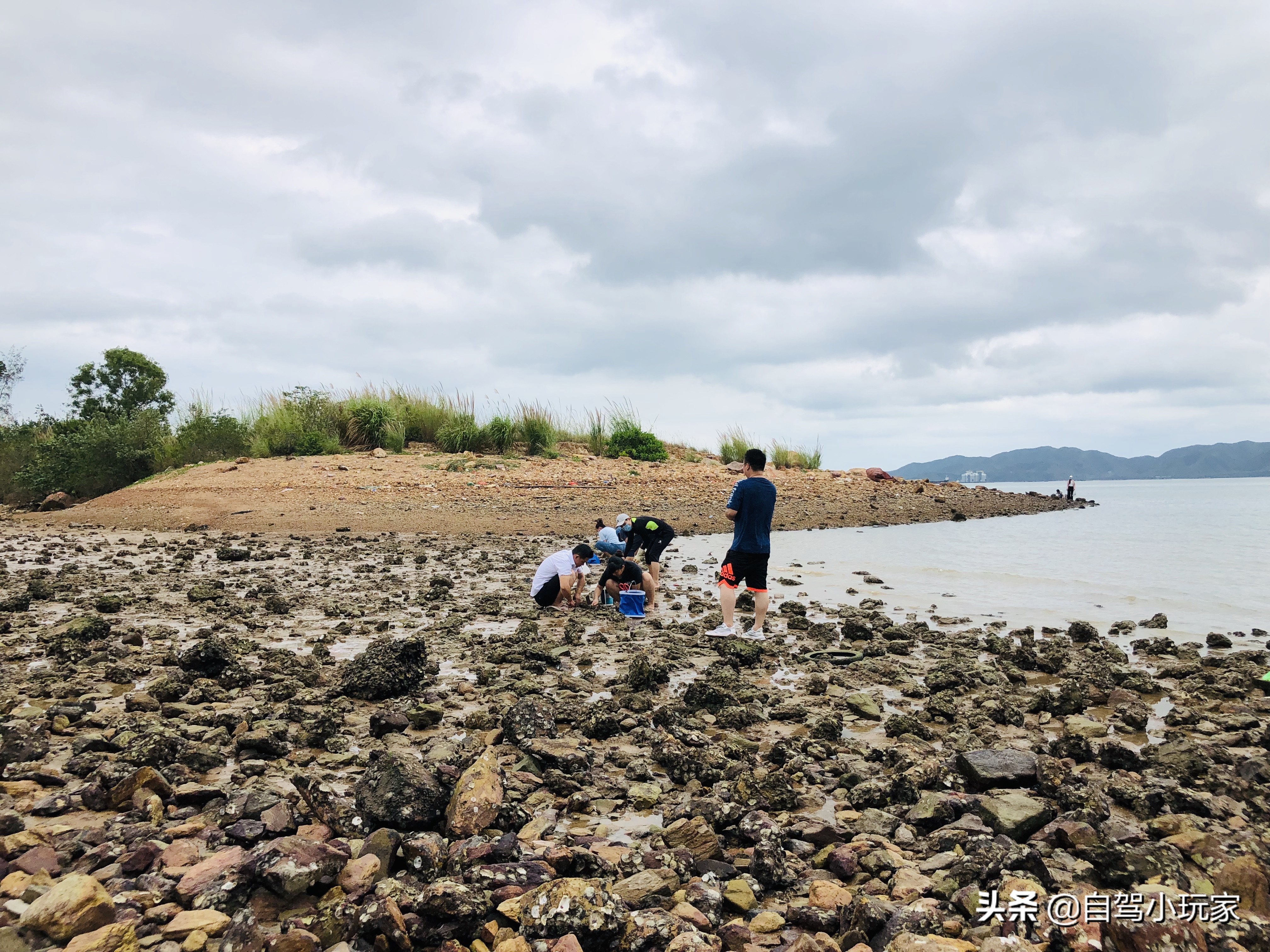 广东这6个赶海好地,即使小白也能搞到货,人少景美,开车直达