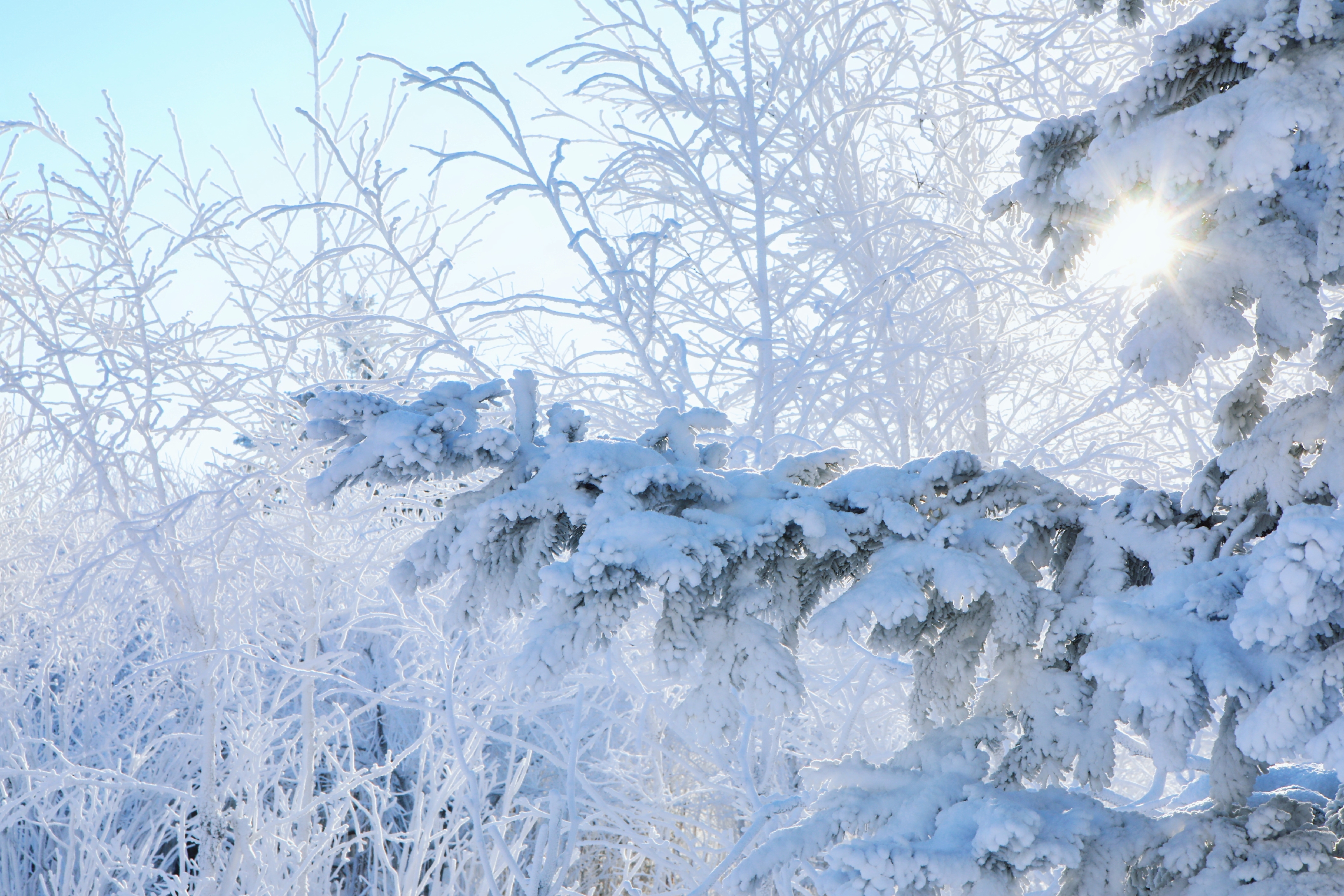 吉林滑雪场哪个最好玩(今年冬季吉林滑雪异常火爆，吉林四大滑雪场游客爆棚，附带攻略)