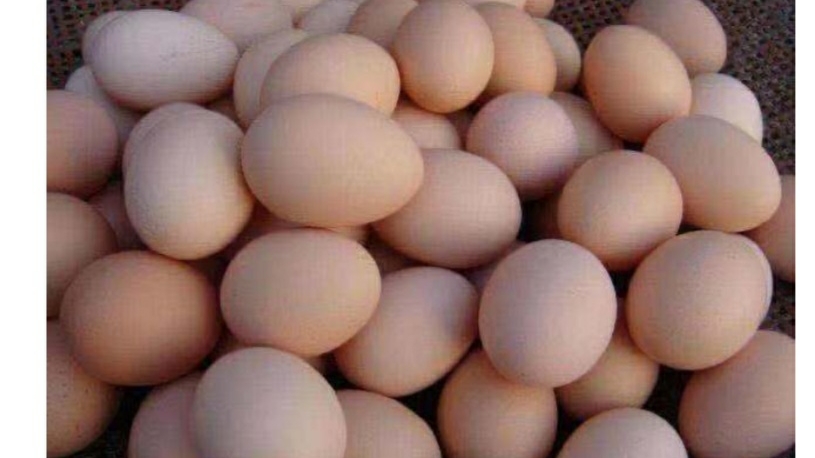 哈尔滨鸡蛋今日价格是多少钱「哈尔滨拉林今日鸡蛋价」