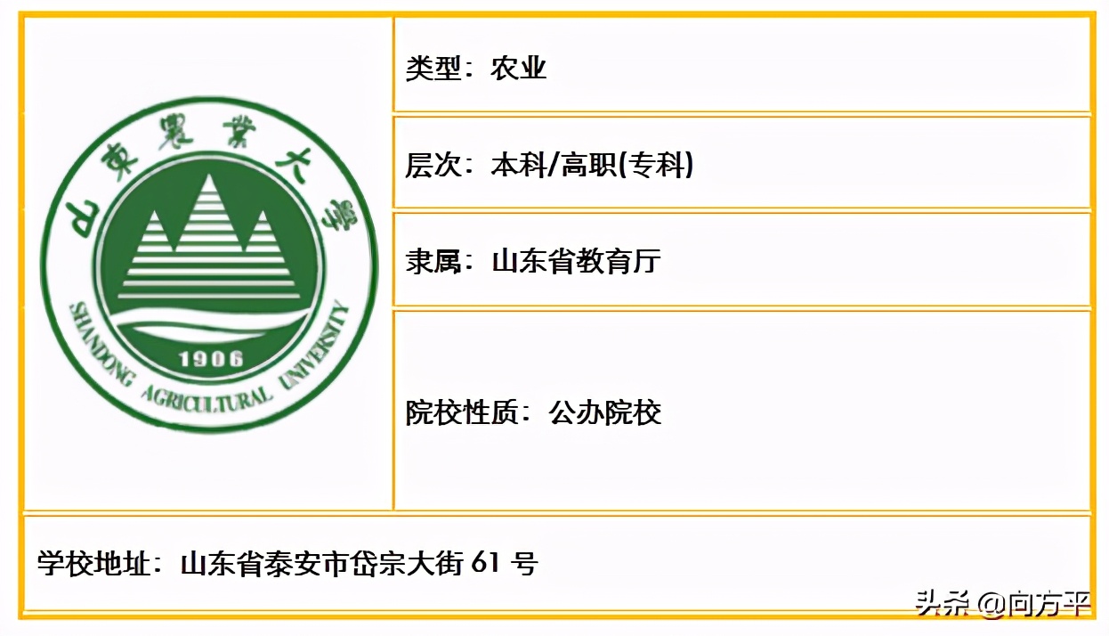 山东省内原来有48所高校招生美术类考生，总有一所大学适合你