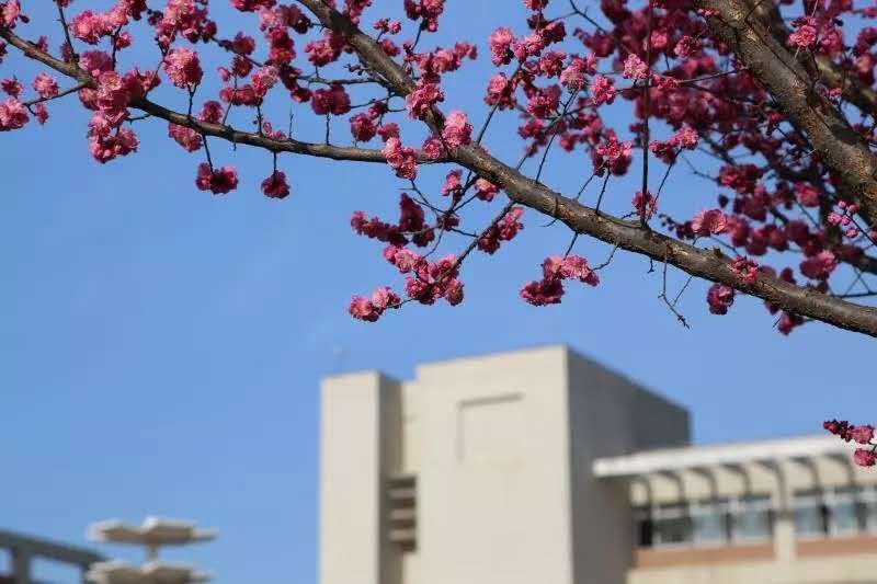 优秀！又一个重量级榜单新鲜出炉，西安邮电大学表现出色