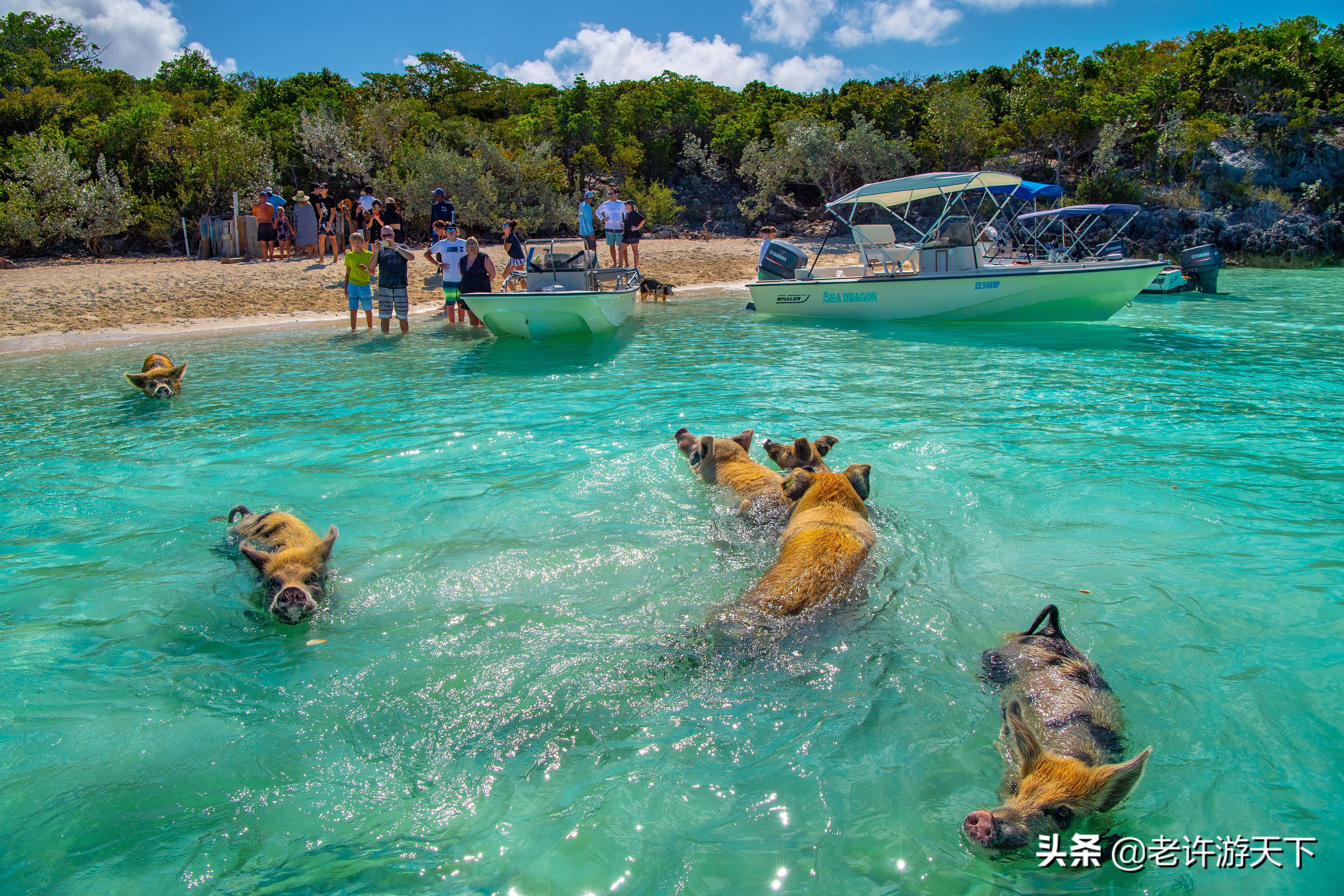 世界十大海岛旅游胜地（世界10个美丽海岛堪称度假胜地）