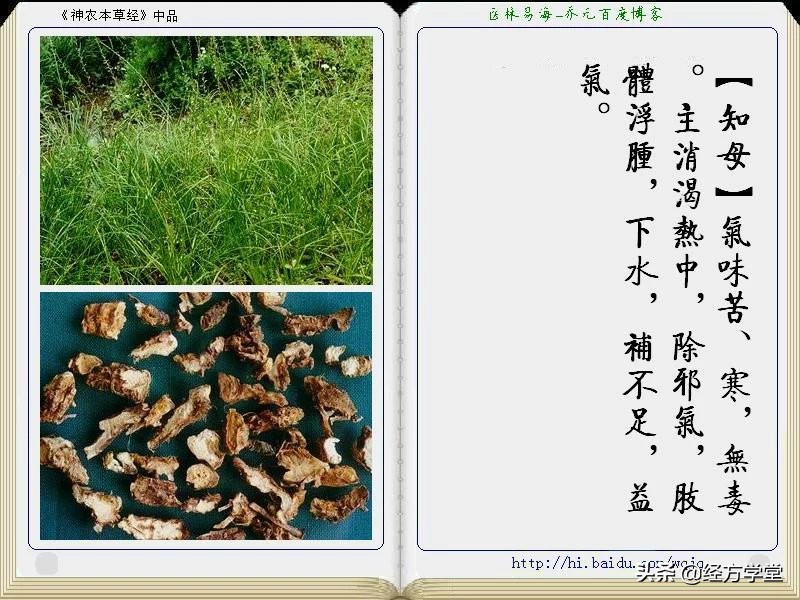 《神农本草经》全册图文解析 建议收藏