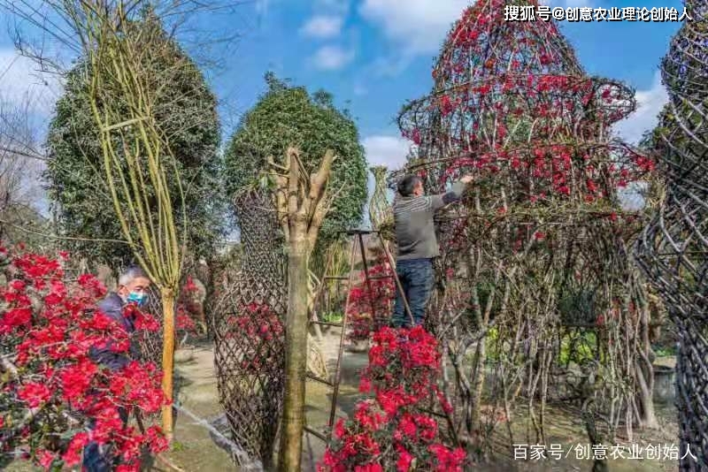 成都创意农业新场景教程（章继刚著）用花园理念重塑田园生活方式