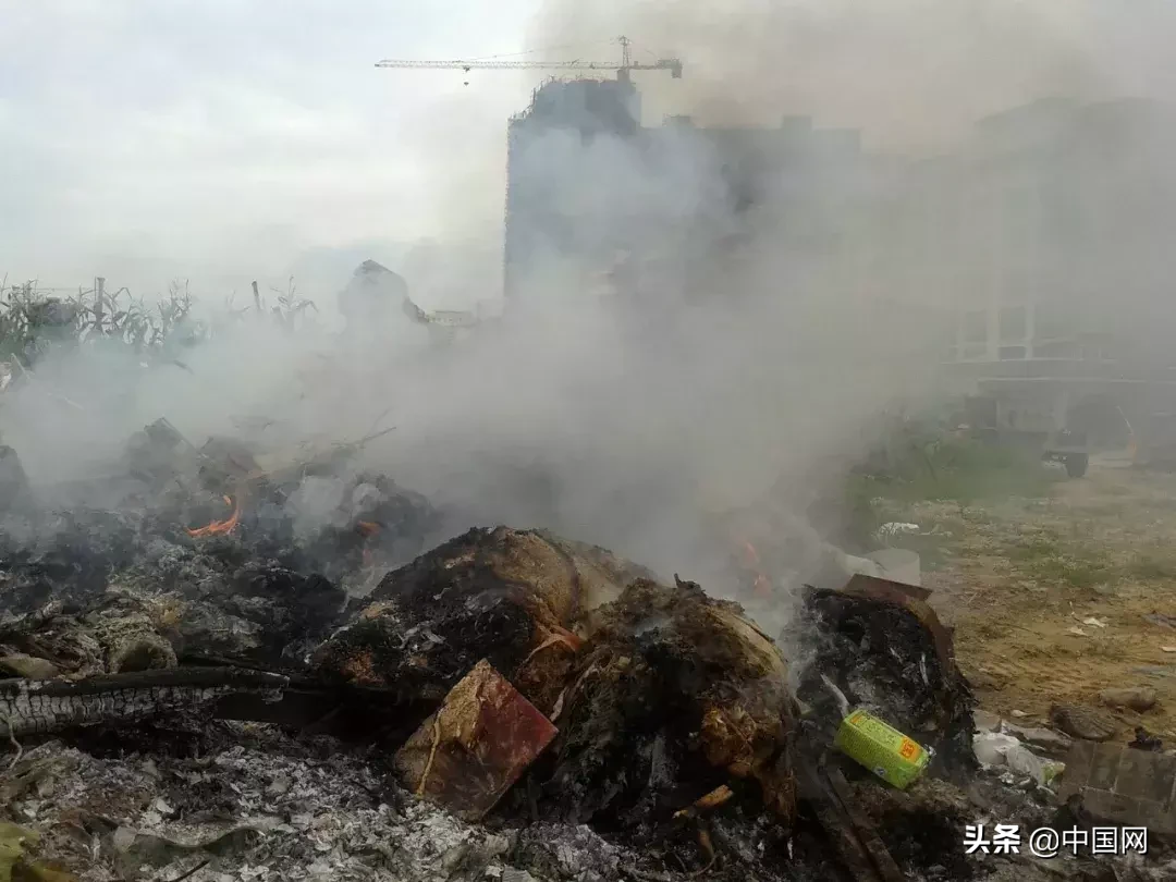 女子因垃圾未分类竟把志愿者掐晕，被行拘3日