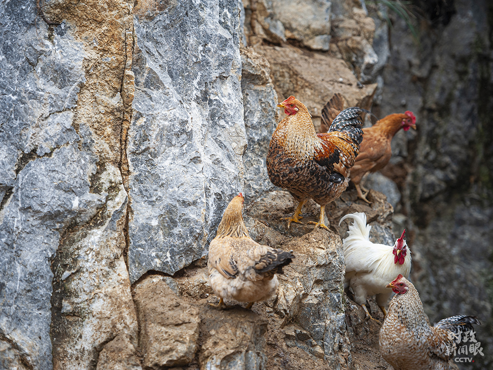 时政新闻眼丨在脱贫攻坚最大规模会议上，习近平要求这样兑现承诺