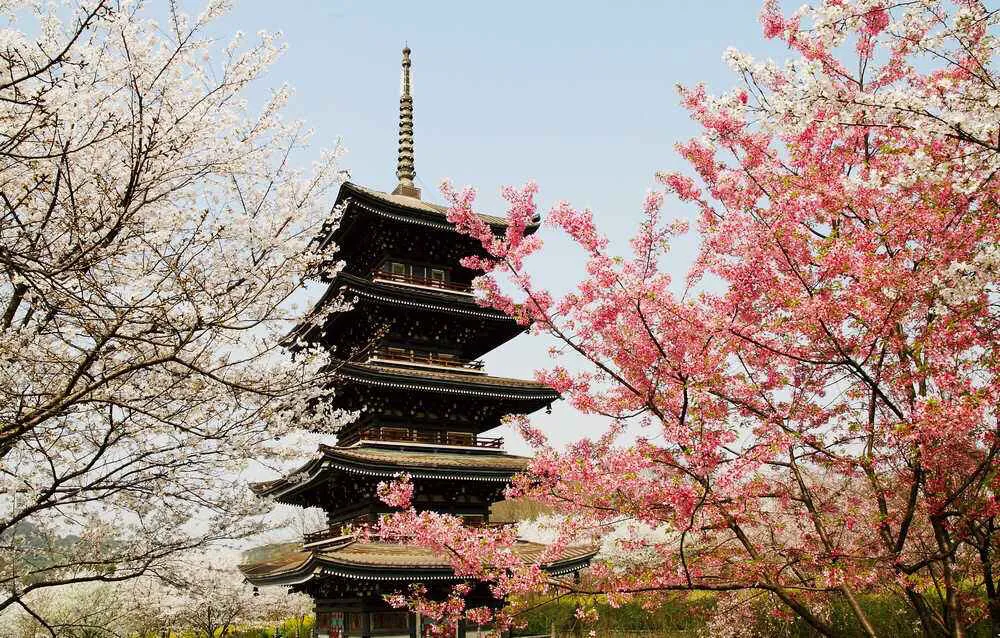 知术欲圆 行旨须直——西北师范大学