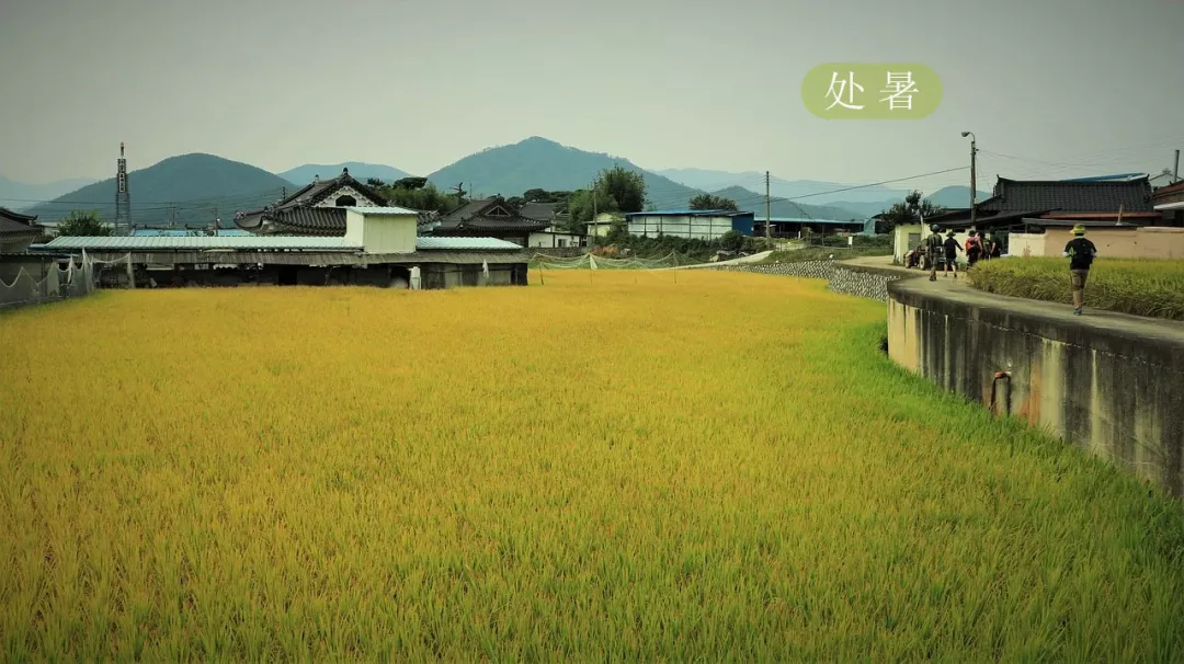 今日处暑丨暑去秋来，愿君珍重