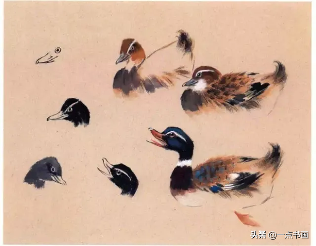 一学就会画——小写意禽鸟画法