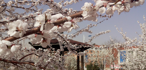 辽宁工程技术大学2016-2018年各省录取普通类考生分数