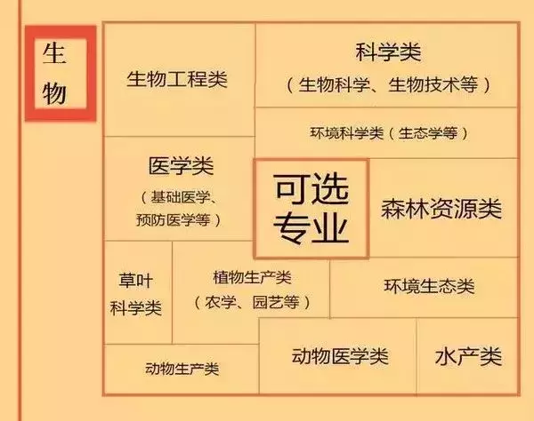 广东新高考，12种选科组合怎么配？《家长学堂》专家团带来“选科攻略”→