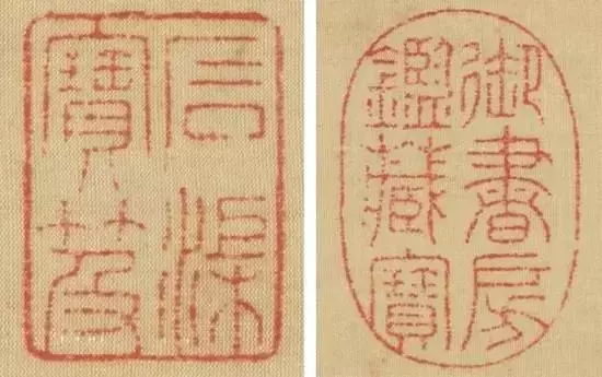 一朵牡丹价值超过100万,魅力何在?