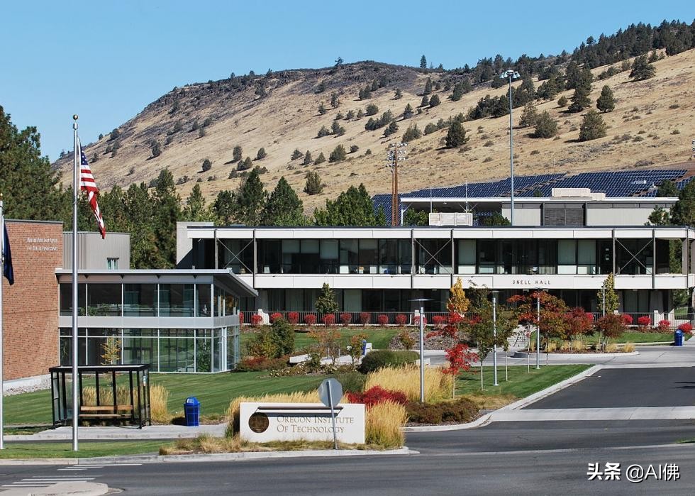 美国50所高性价比公立大学