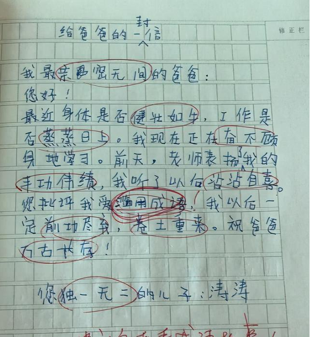 作文《我的小姨》走红，人物描写画面感太强，小姨：鸡毛掸子呢