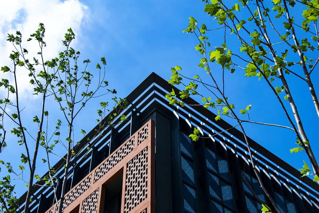 上新啦！6款浙大高颜值PPT模板送给你