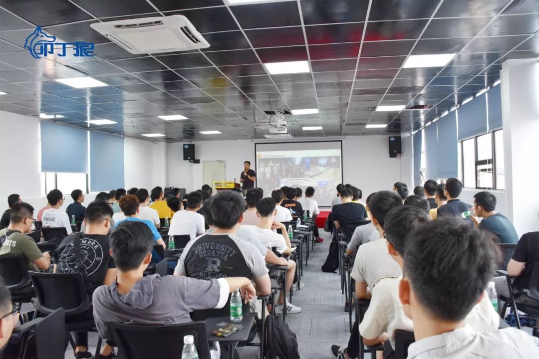 关于叩丁狼，你想知道的都在这里了！