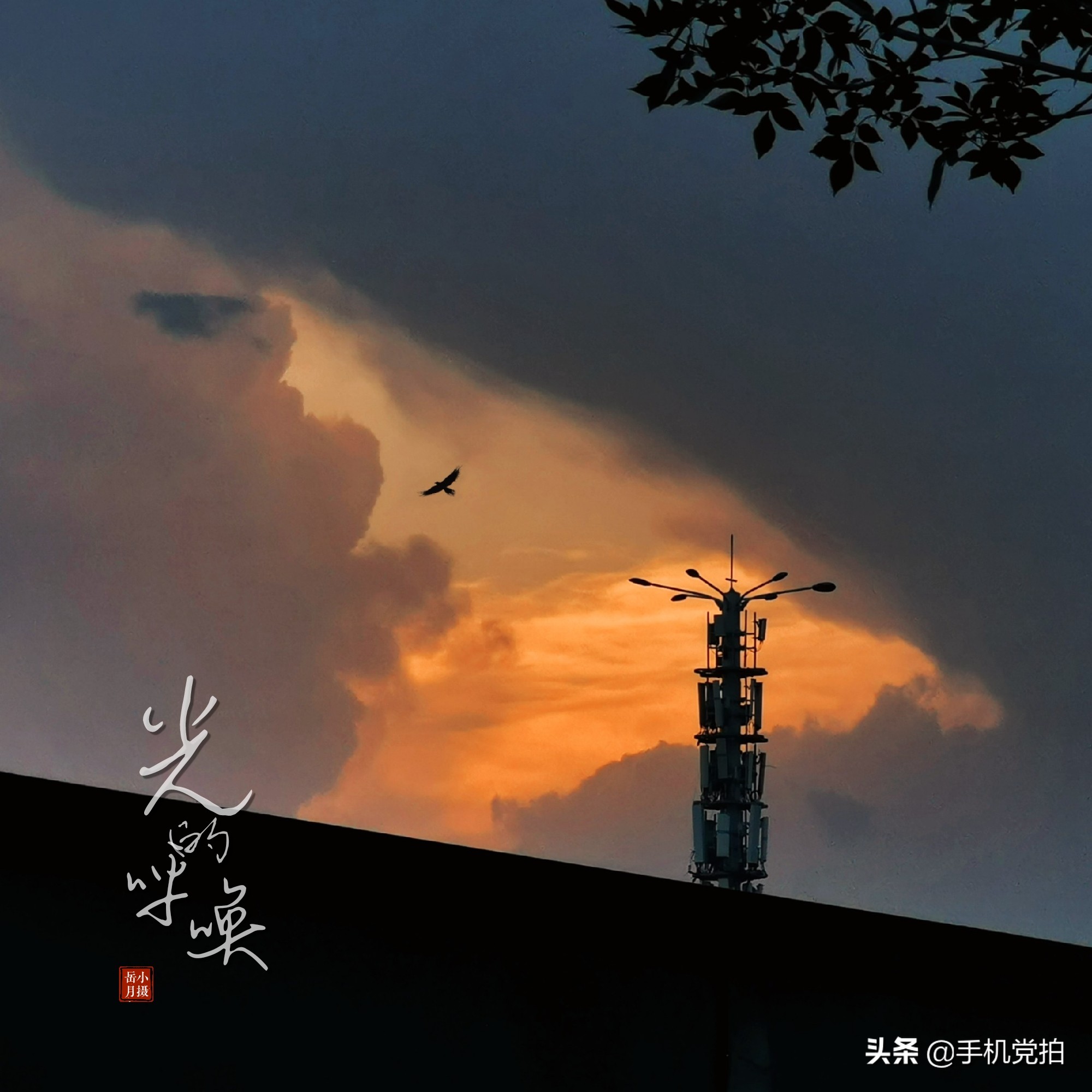 给照片加水印｜教你手机制作2种“仿古小印章”，很国风