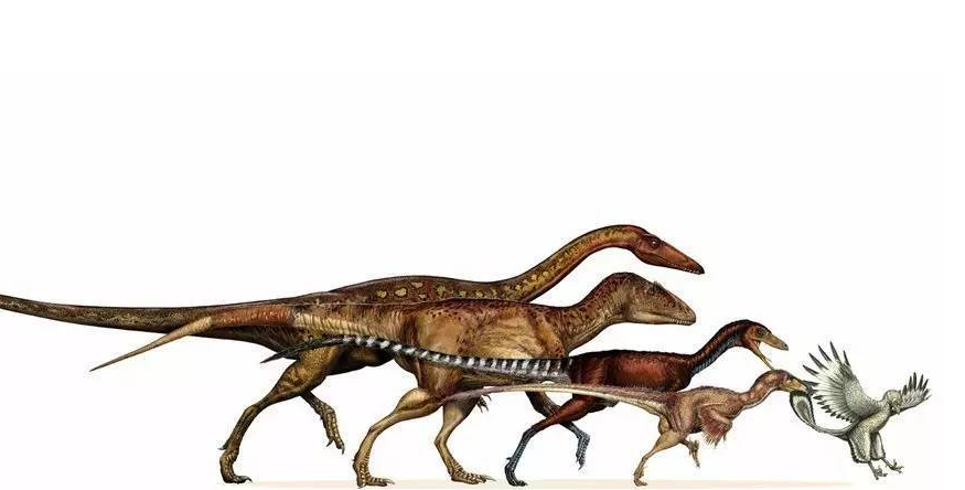 人类进化出文明,用了200万年,为何恐龙用1.6亿年都做不到?