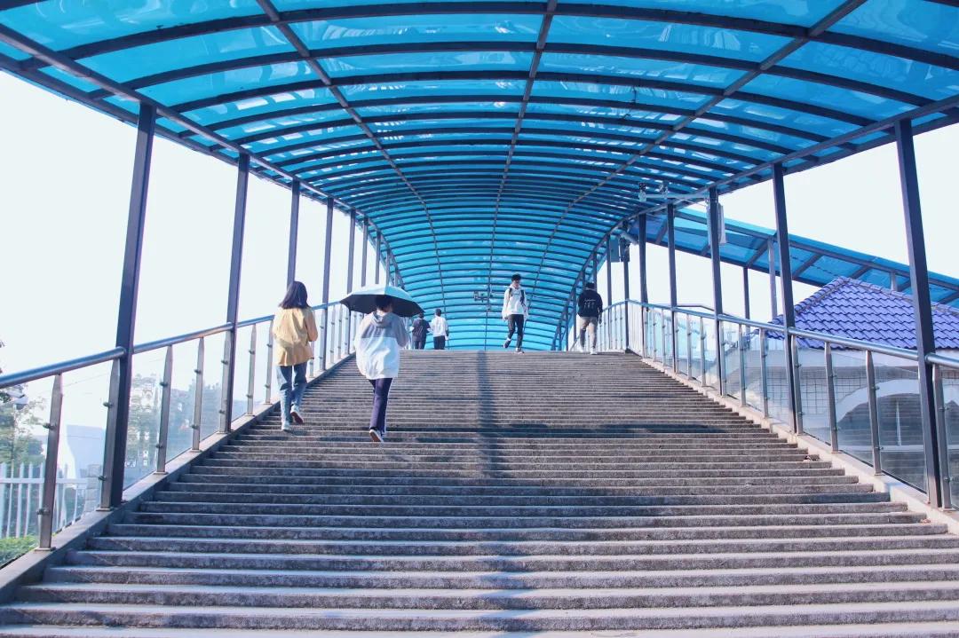 暑假？拿来吧你！