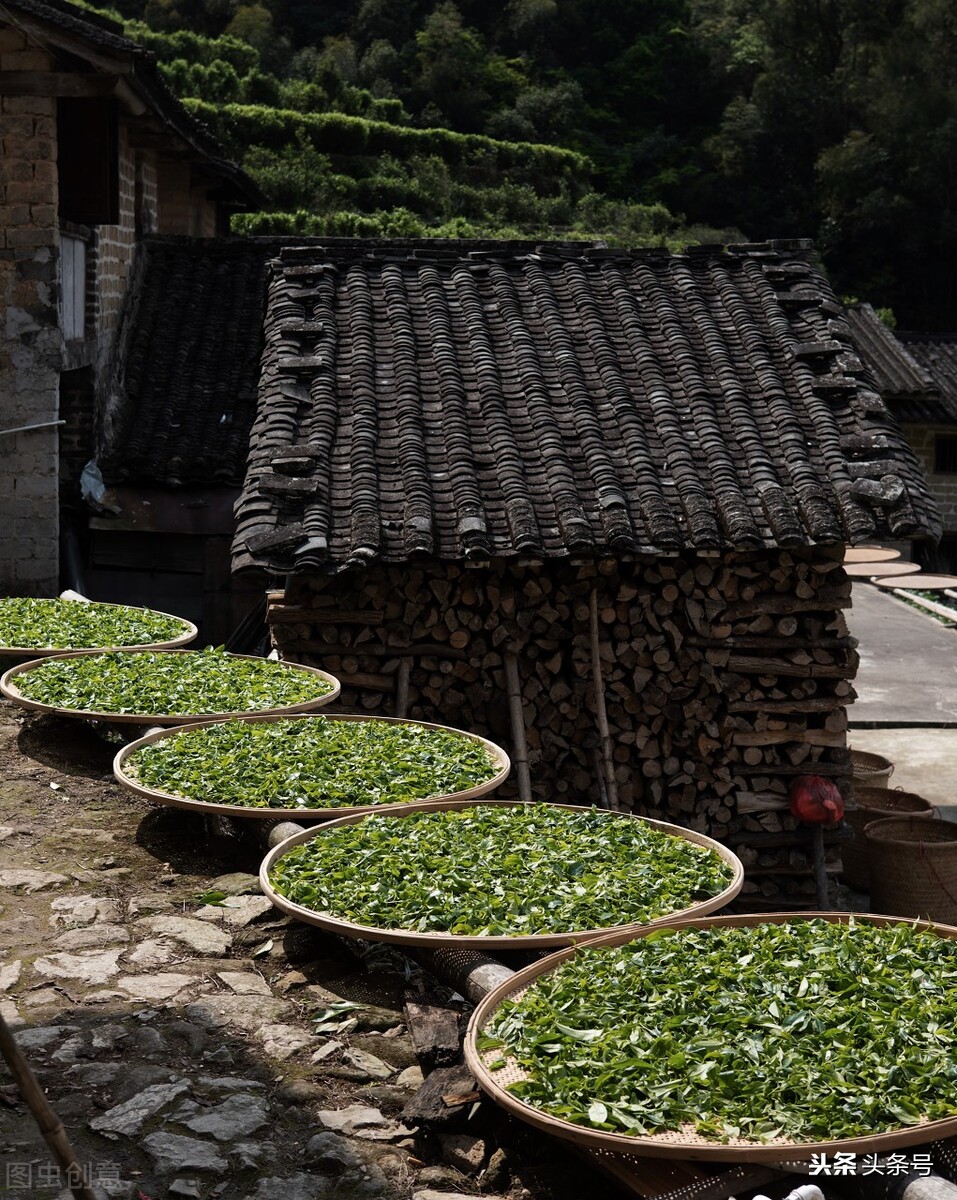 中国最贵的茶叶是母树大红袍，那潮州最贵的凤凰单丛茶你知道吗？