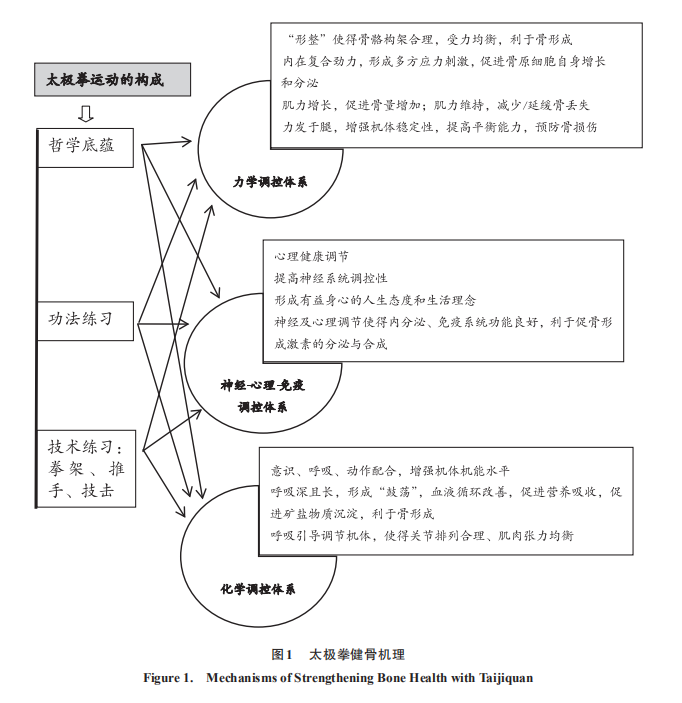 太极拳健骨机理