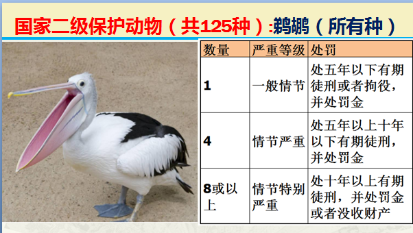 国家保护动物分几个等级（125类二级野生保护名录）