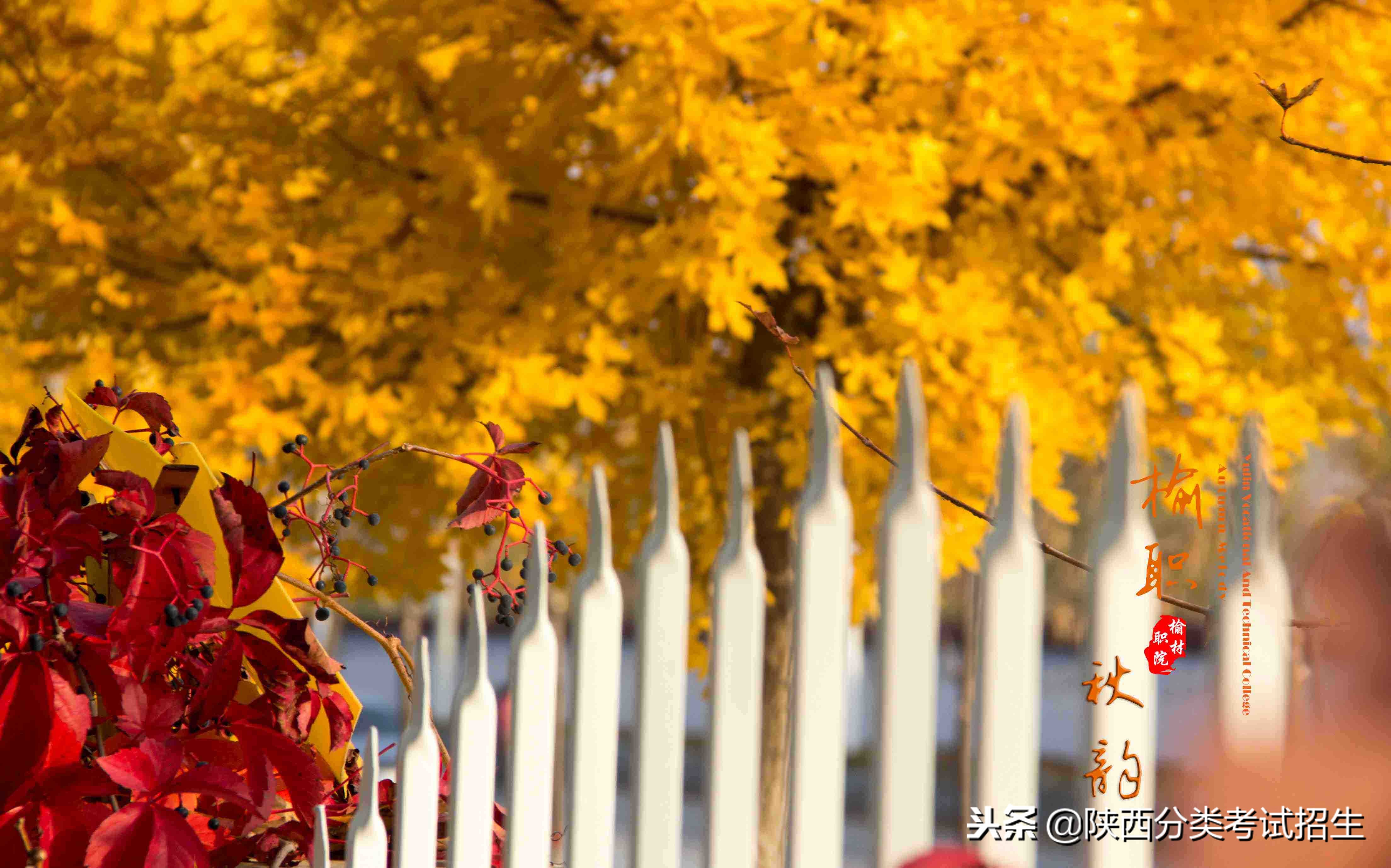 魅丽校园行之-榆林职业技术学院
