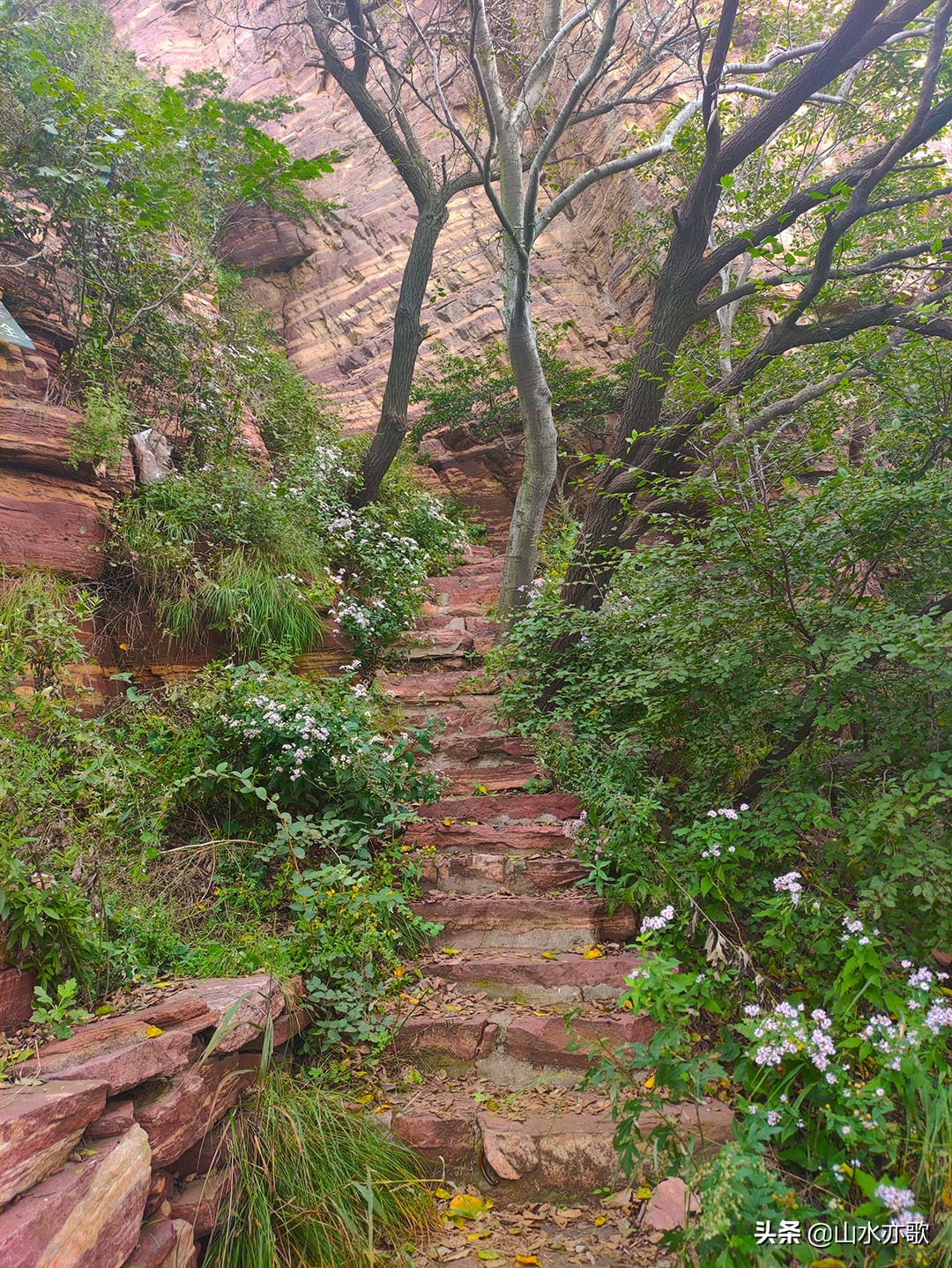 石家庄井陉锦山,云锁群山,雾漫丛林,云桥飞渡,一颗橡果落下来