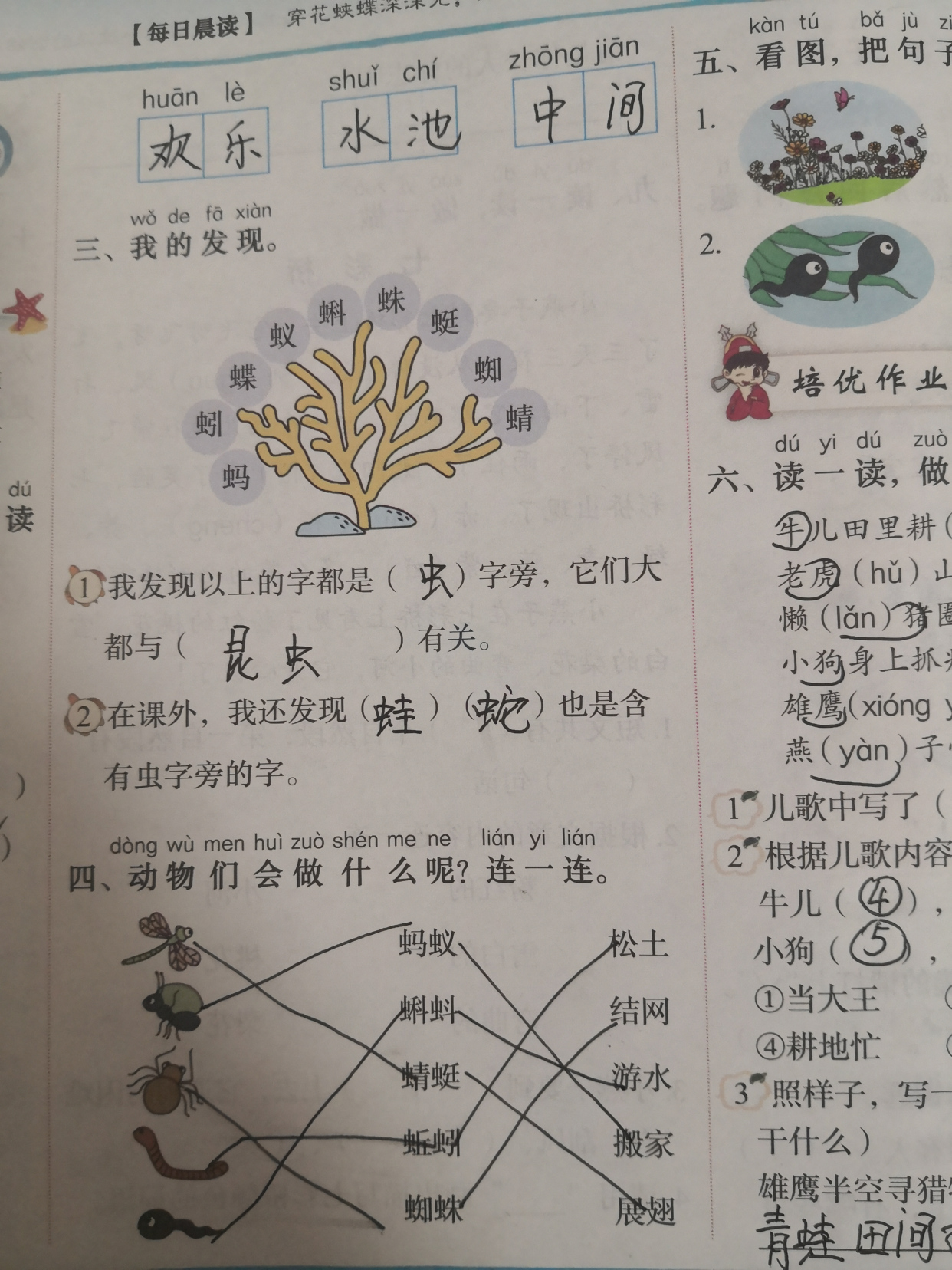 蚂的多音字组词图片