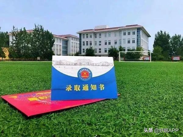 大一新生床铺自带还是在学校买？学姐教你从这三点考虑