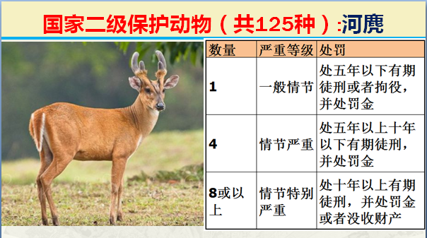 二级保护动物（国家最新125类二级野生保护名录）