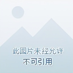 费时+费力+费钱=2人2猫的梦想屋，125平40万落地