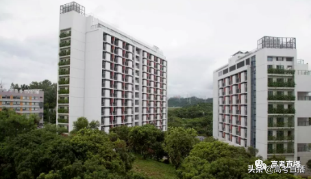 本科/专科都有！广东这些大学新宿舍曝光，明年分数怕是要涨？