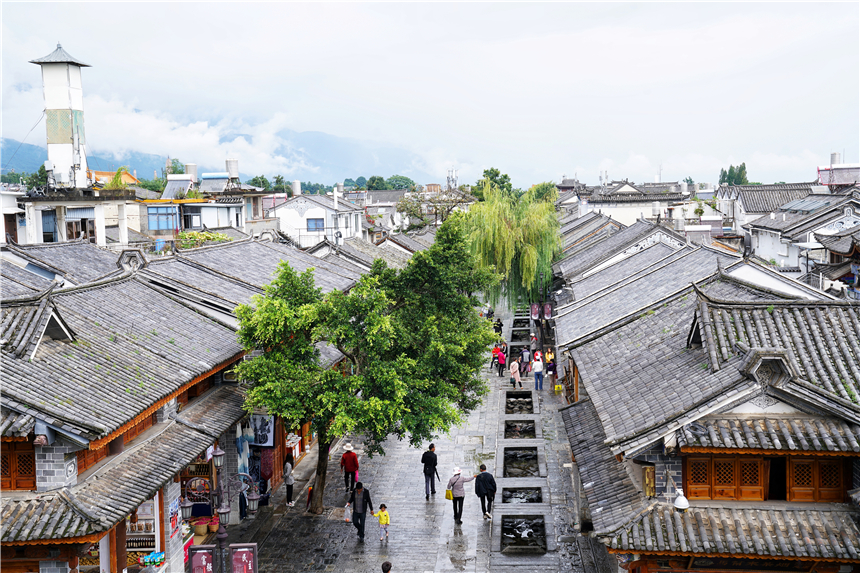 秋阳微醺，洱海波光里轻舞的白鹭与风中摇曳的稻穗，勾勒出大理最诗意的黄昏。