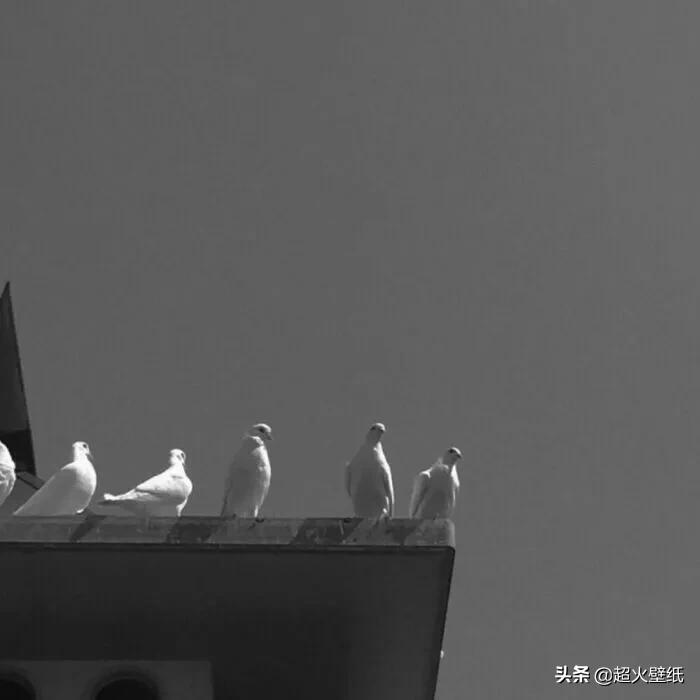 跟女生聊天找不到话题？教你轻松开启对话的实用技巧
