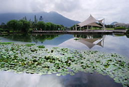 2019三位一体院校报考之温州大学、温州肯恩大学