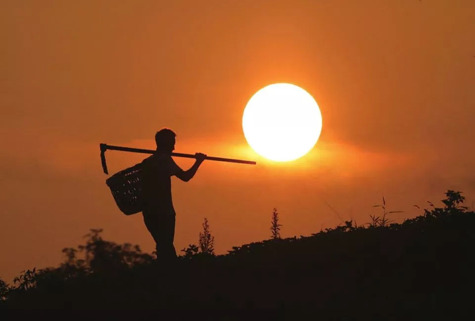 乡土散文:又见炊烟升起
