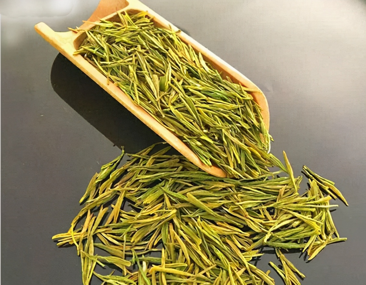 黄金芽,茶叶中的大熊猫