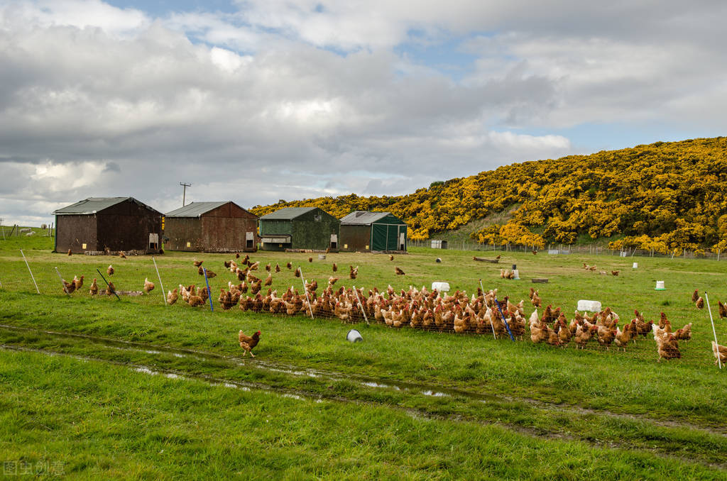 养殖场拆迁的4种常见套路，在明律师教你反套路而行