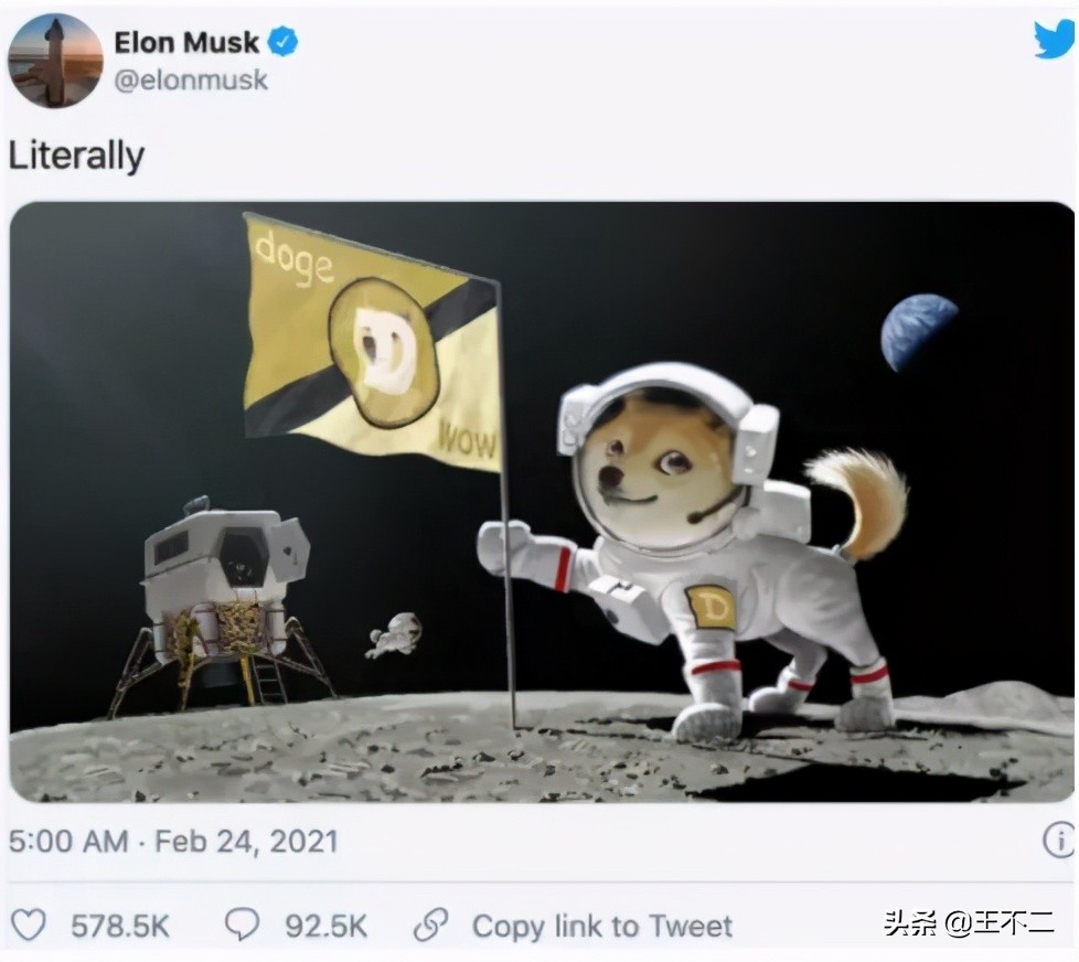 真的服了币圈，被屎糊了一脸