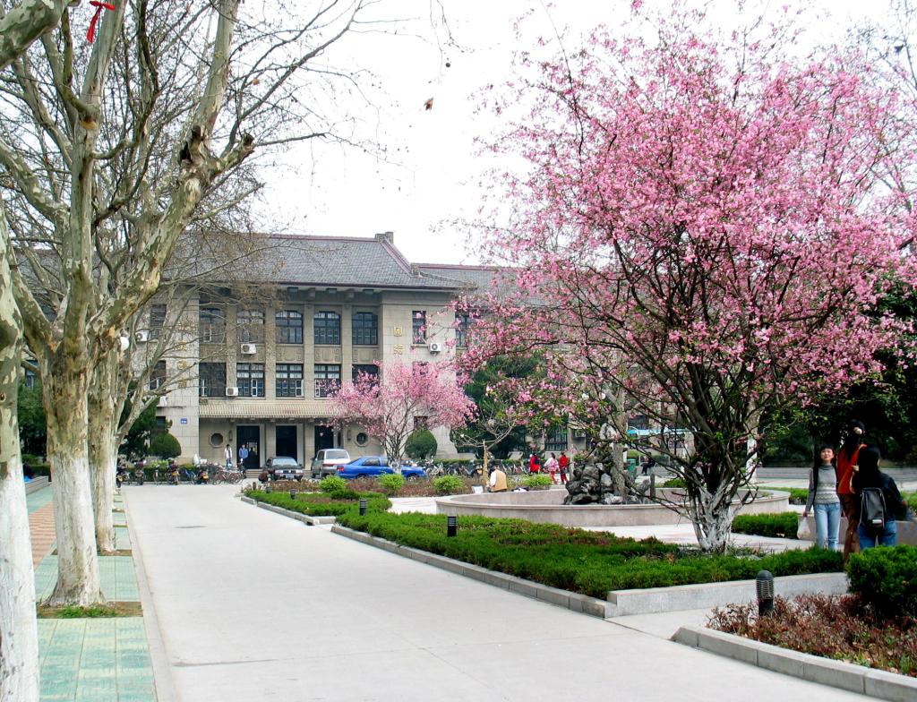 安徽农业大学2020年招生计划，2019年分专业录取分数