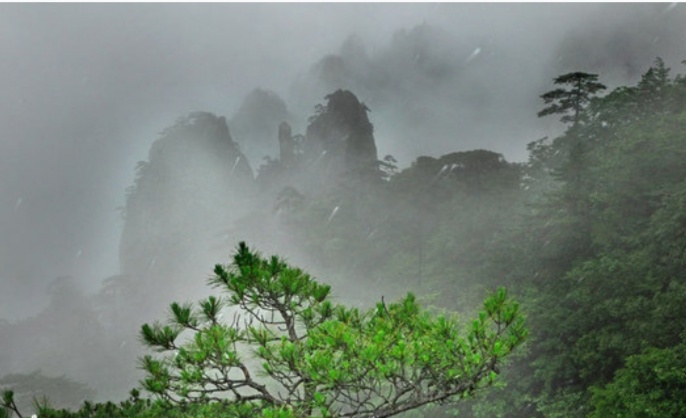 秋风、秋雨、秋意