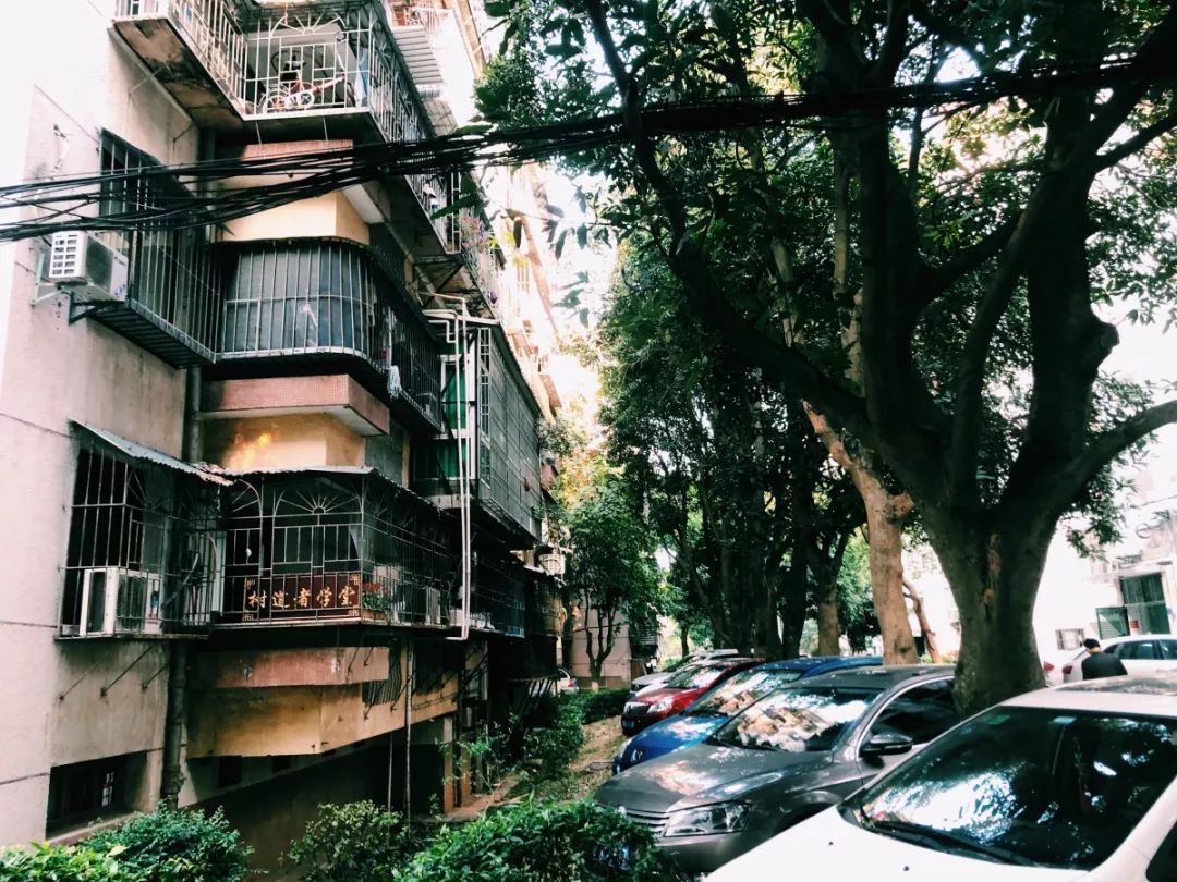 老破小一平10万+！我们走遍厦门18所名校，为你曝光最贵学区房！