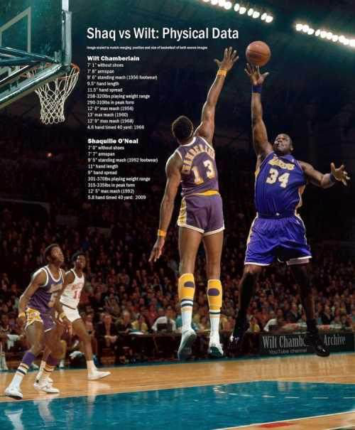 双手举起人像举玩偶)