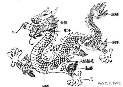 十二生肖简笔画之龙的画法