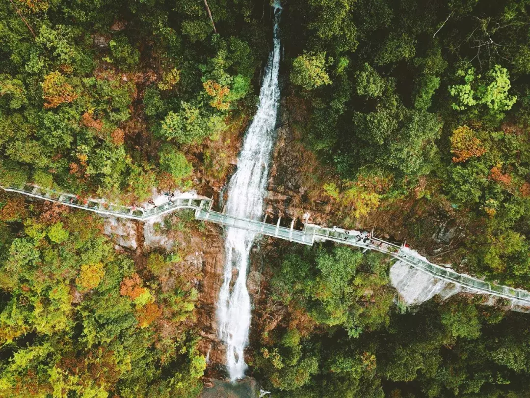 郴州王仙岭玻璃桥图片