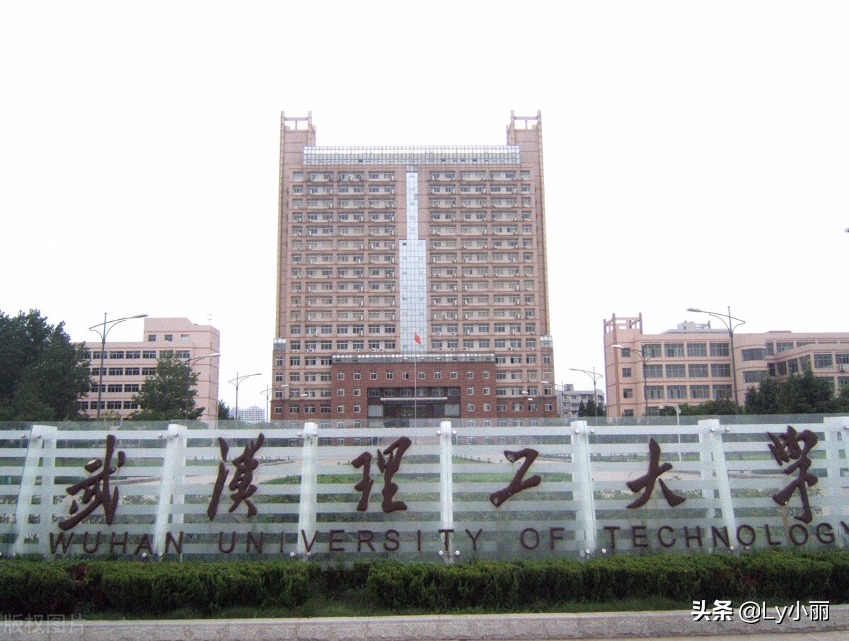 2022年武汉理工大学公共管理MPA（双证班）招生简章