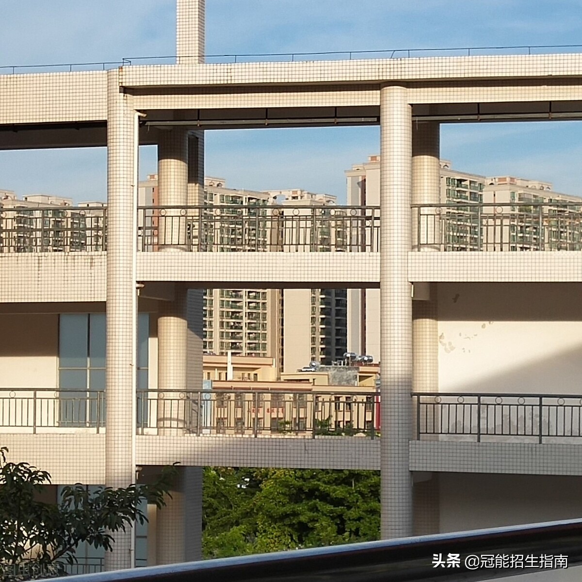 中?？急究品謹稻€（中?？急究菩枰裁礂l件）