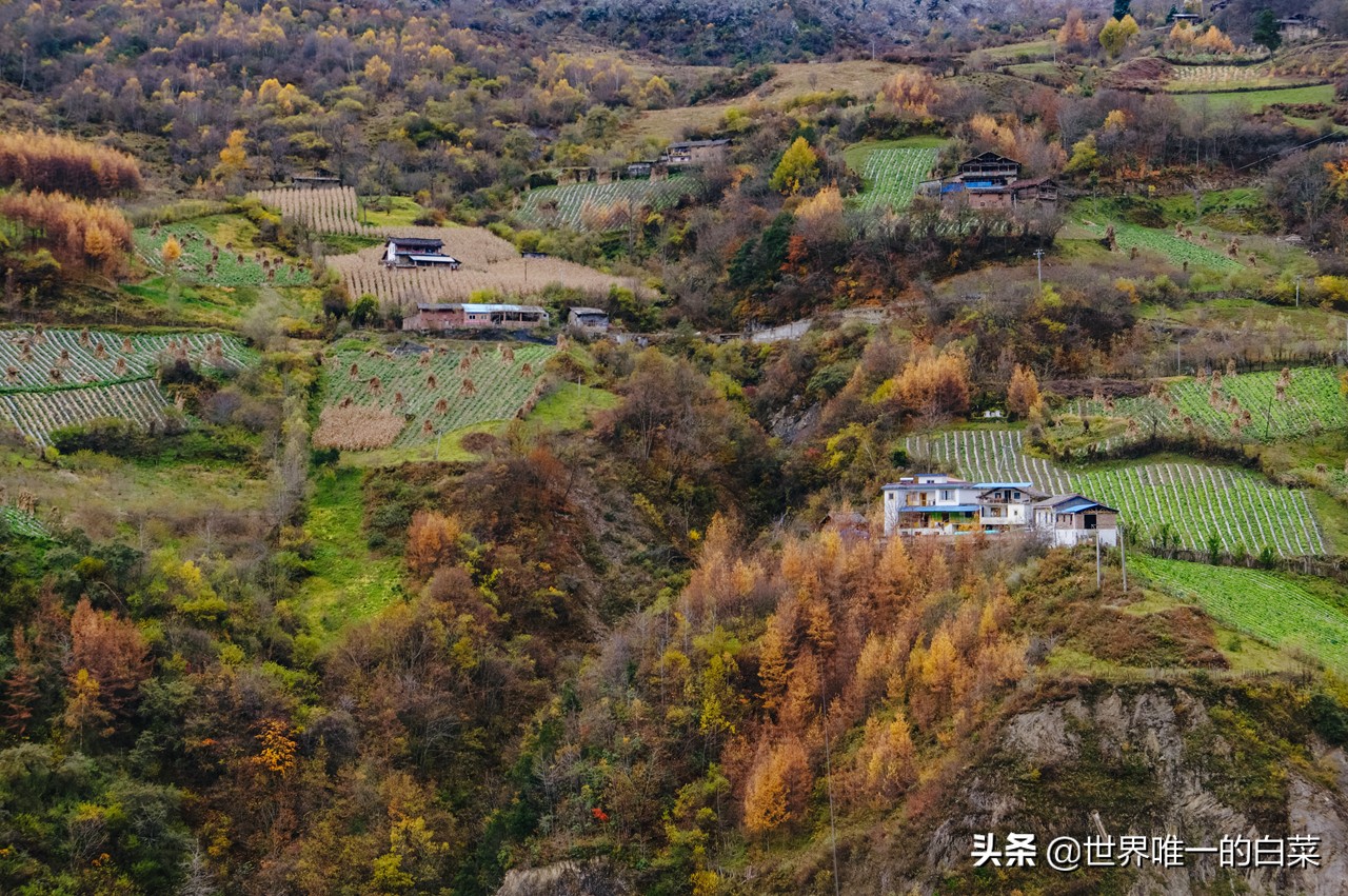 牛背山封了，四人同太苦，还好有亚洲第二360°观景平台满足一切