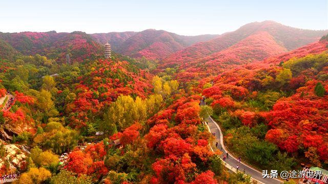 济南天然氧吧红叶谷：看万山红遍，层林尽染，赏红海涌动随风舞